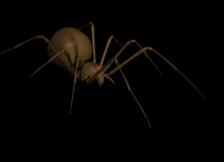 OOOOOOOOOooooo She's so lovely